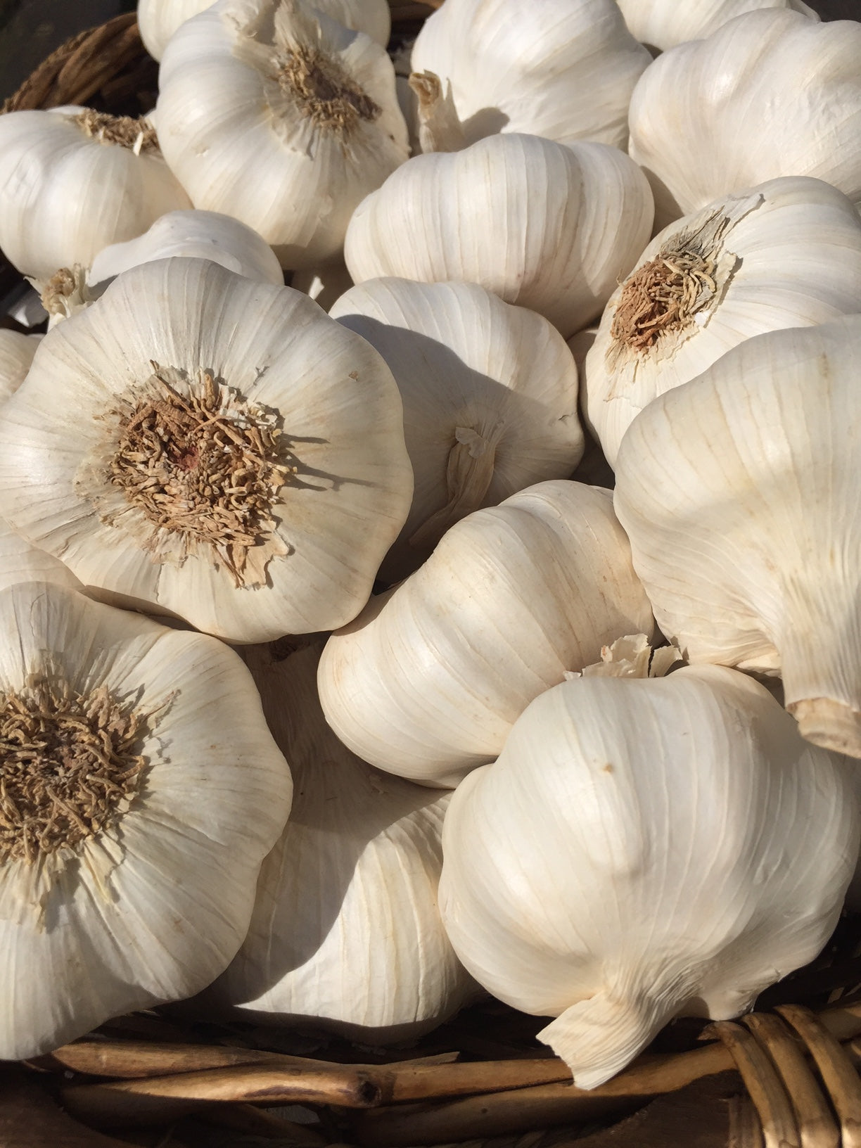 Garlic and the common cold