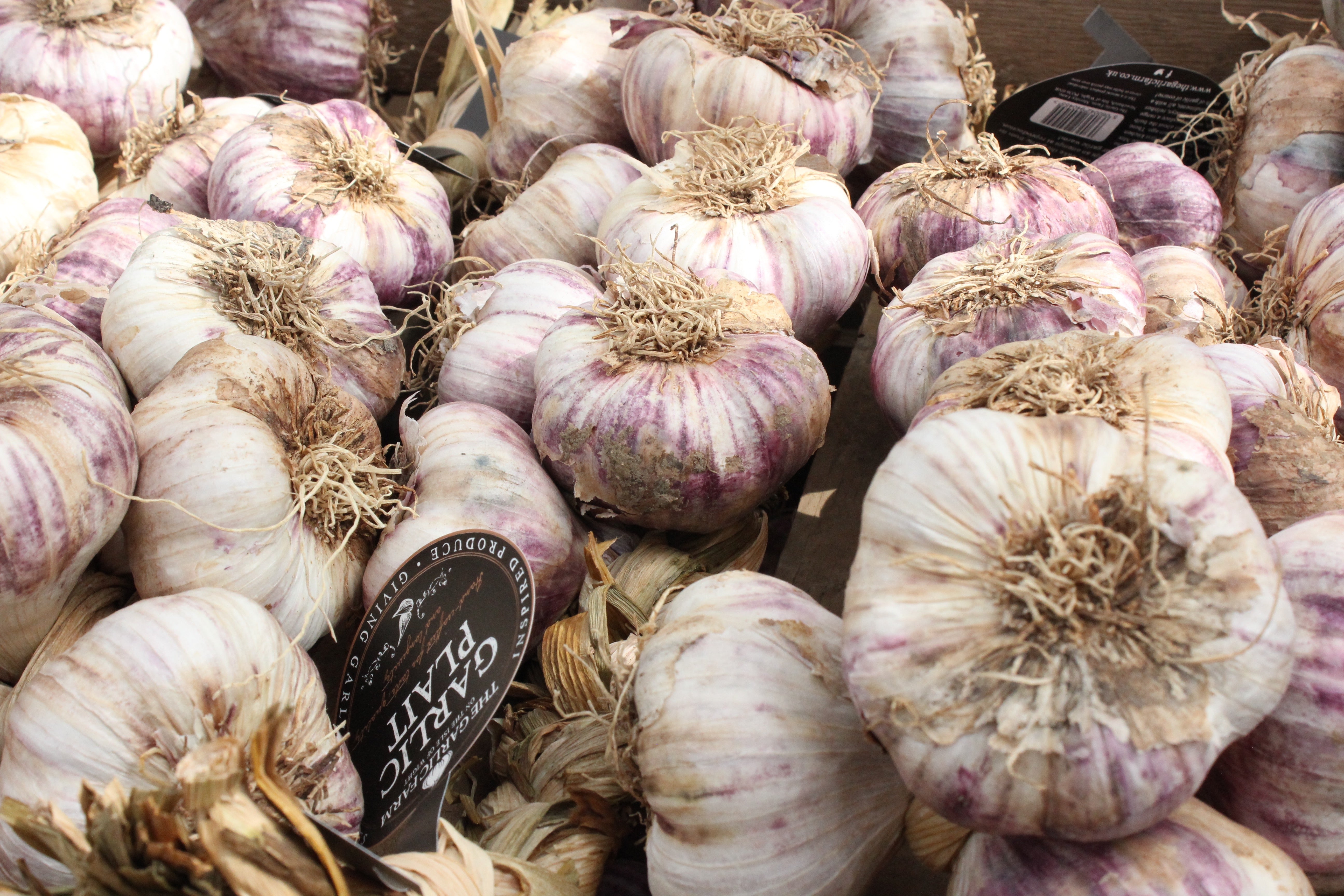 Preserving Fresh Garlic: Quick Frozen Garlic Cubes