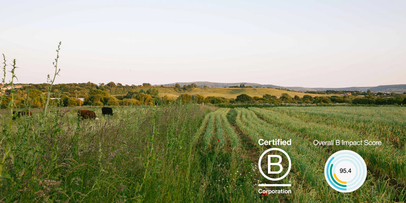 Isle of Wight Walking Festival - Farm Tours