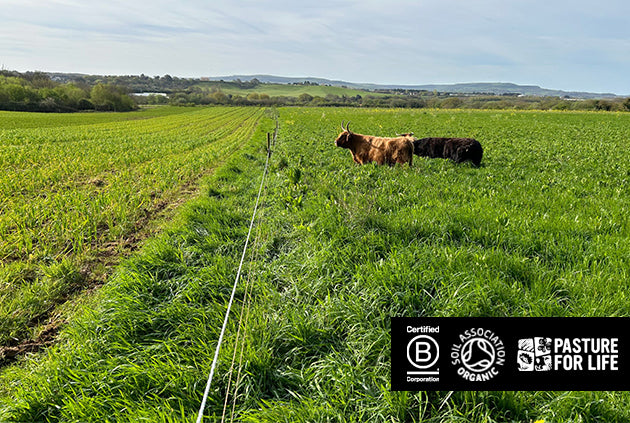 Isle of Wight Walking Festival - Farm Tours